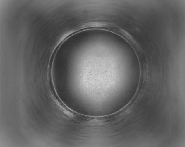 X0000080721178200612221219