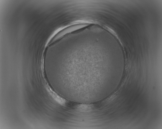 X0000080721179200612221219