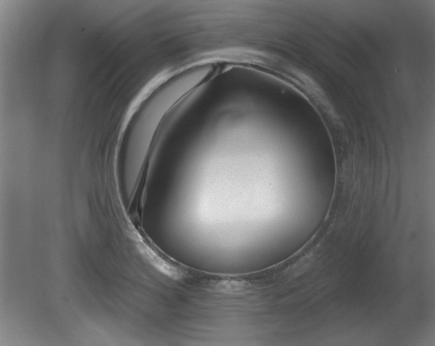 X0000080721180200612221219