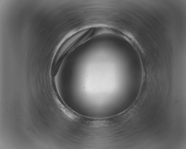 X0000080721181200612221219