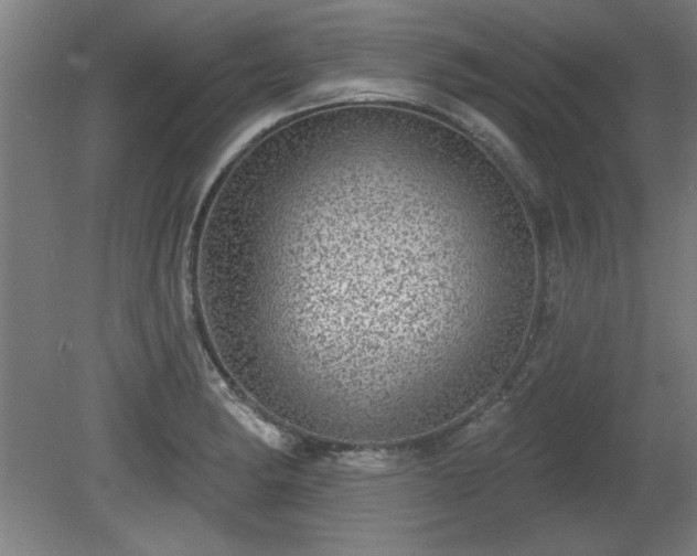 X0000080721182200612221219