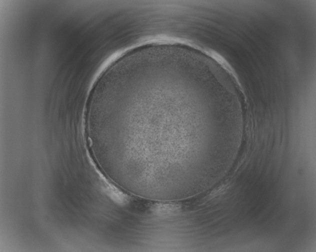 X0000080721183200612221219