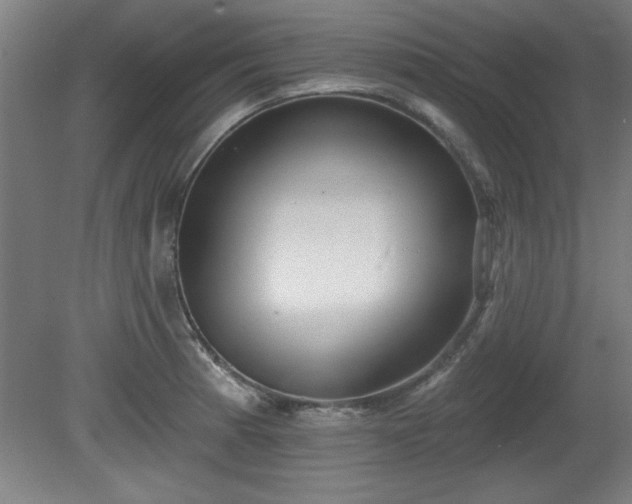 X0000080721185200612221219