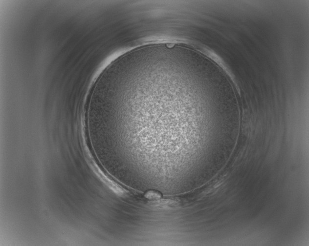 X0000080721187200612221219