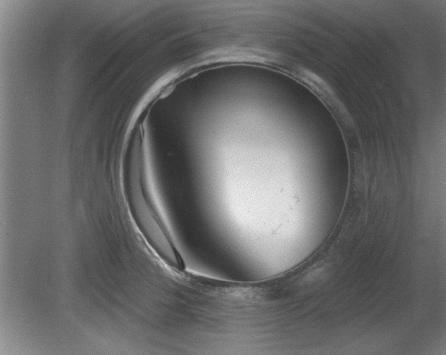 X0000080721188200612221219