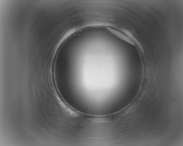 X0000080721189200612221219