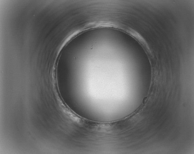 X0000080721190200612221219