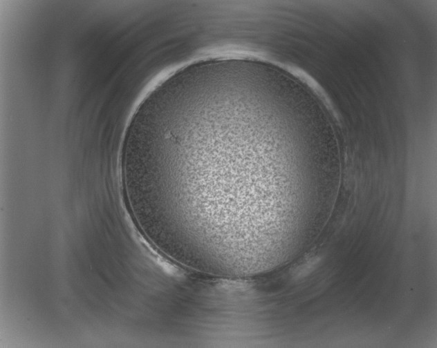 X0000080721191200612221219