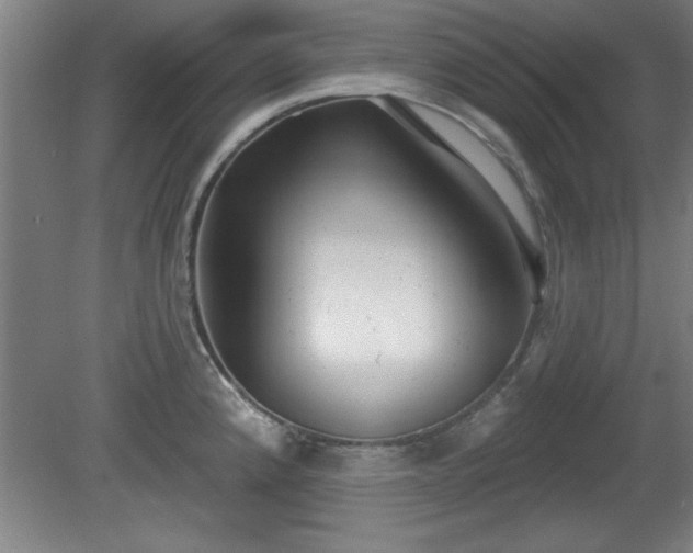 X0000080721192200612221219