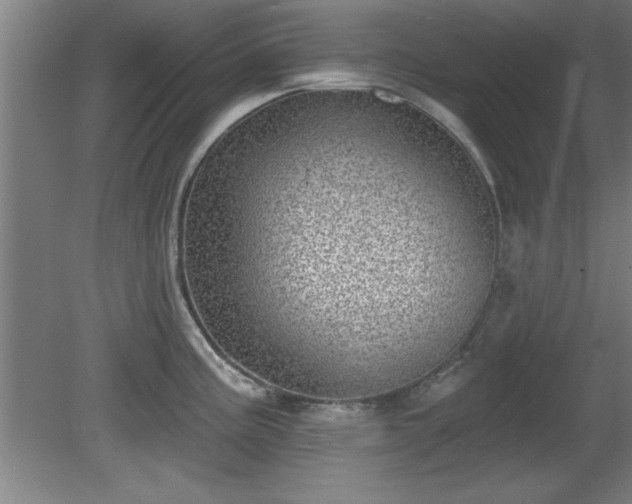 X0000080721195200612221219