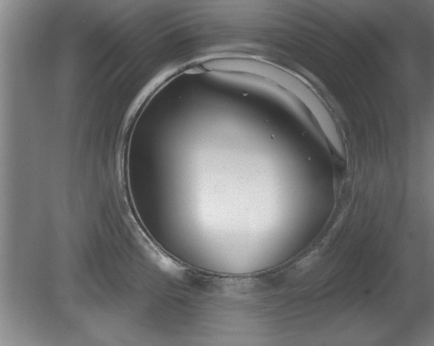 X0000080721196200612221219