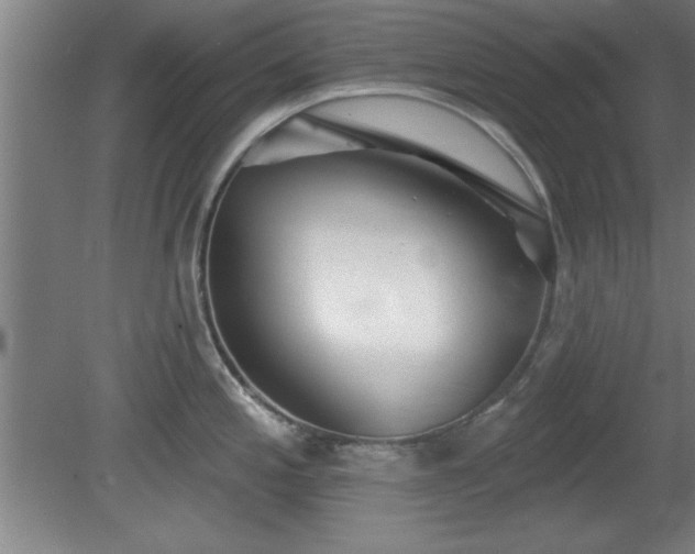 X0000080721197200612221219