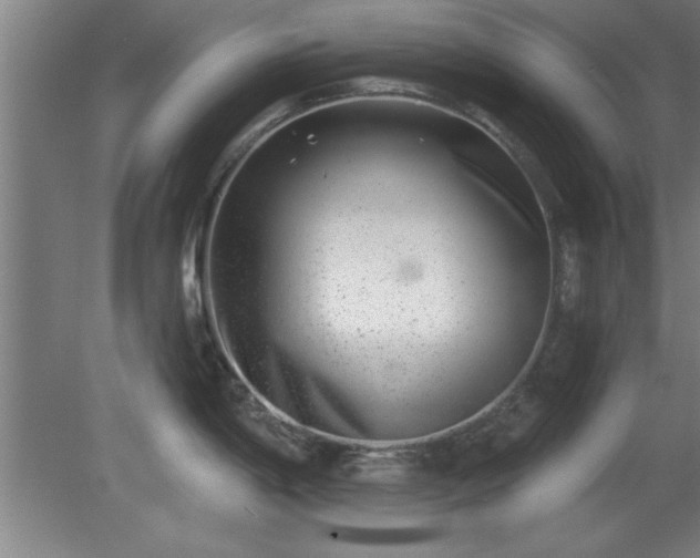 X0000080721198200612221219