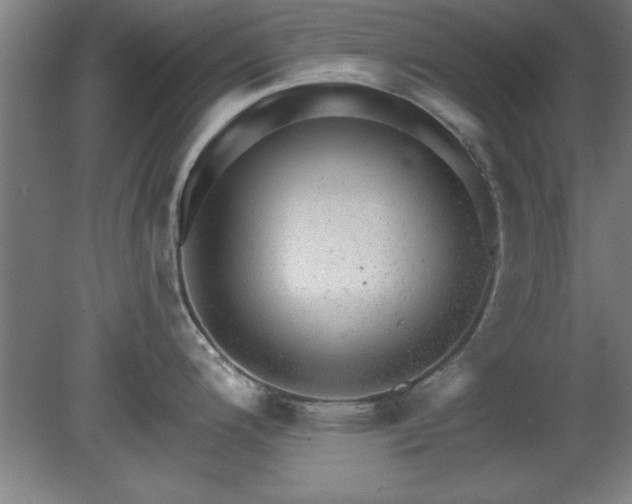 X0000080721200200612221219