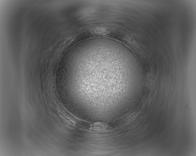 X0000080721201200612221218