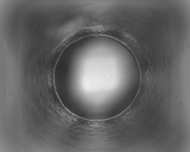 X0000080721205200612221218