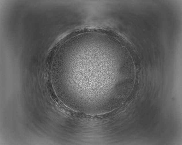 X0000080721207200612221218