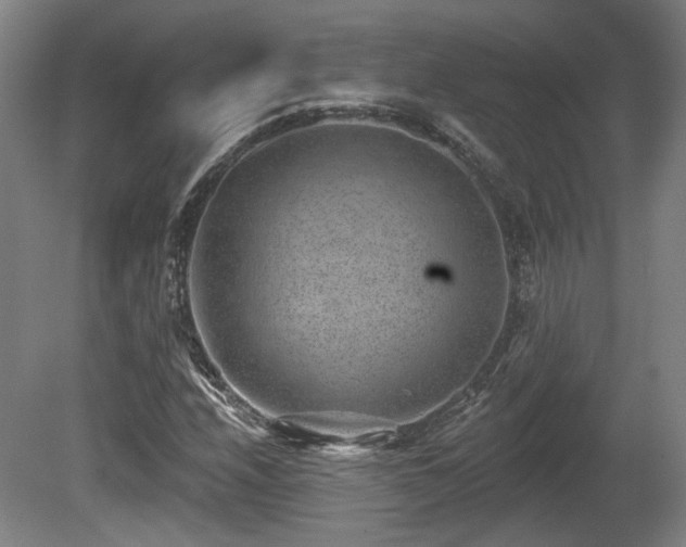 X0000080721208200612221218