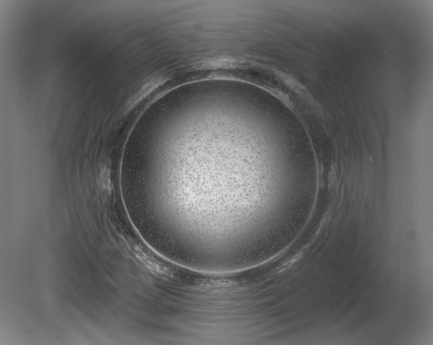 X0000080721209200612221218