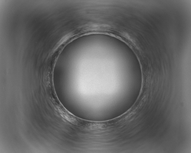 X0000080721211200612221218