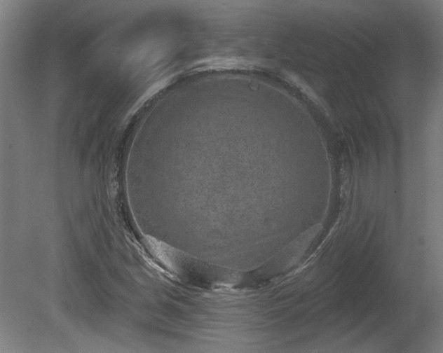 X0000080721213200612221218