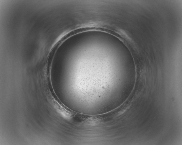 X0000080721216200612221218