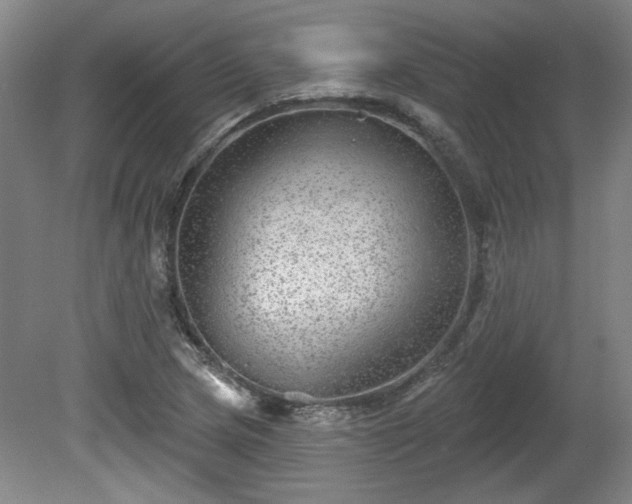 X0000080721217200612221218