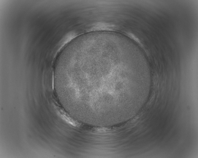 X0000080721219200612221218