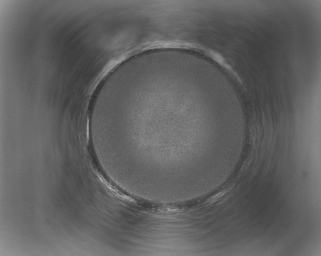 X0000080721221200612221218