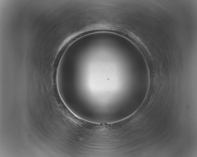 X0000080721222200612221218