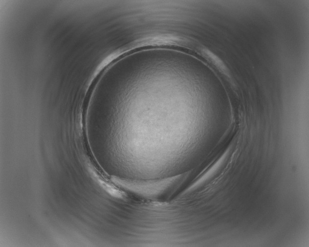 X0000080721226200612221218