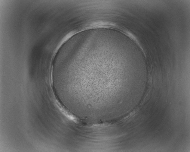 X0000080721227200612221218