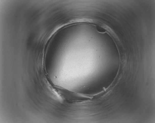 X0000080721228200612221218