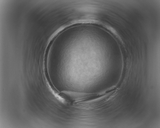 X0000080721229200612221218