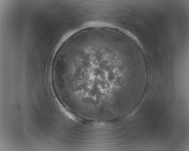 X0000080721231200612221219