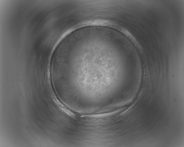 X0000080721232200612221219