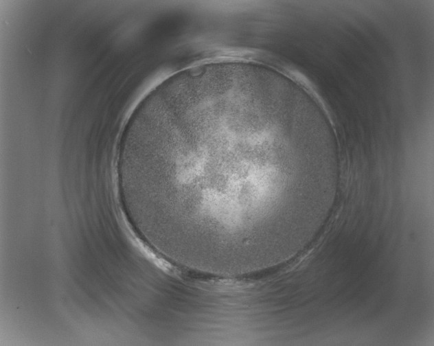 X0000080721235200612221219