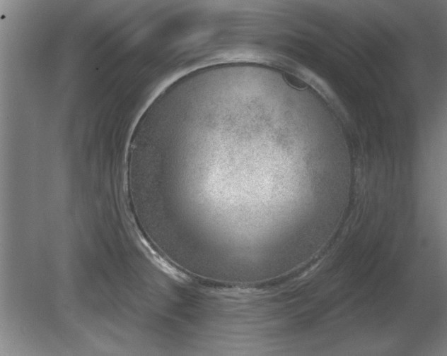 X0000080721236200612221219