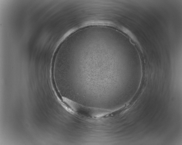 X0000080721237200612221219