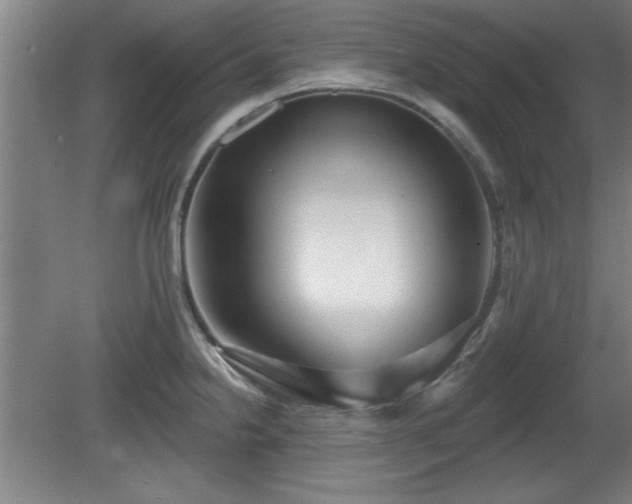 X0000080721238200612221219