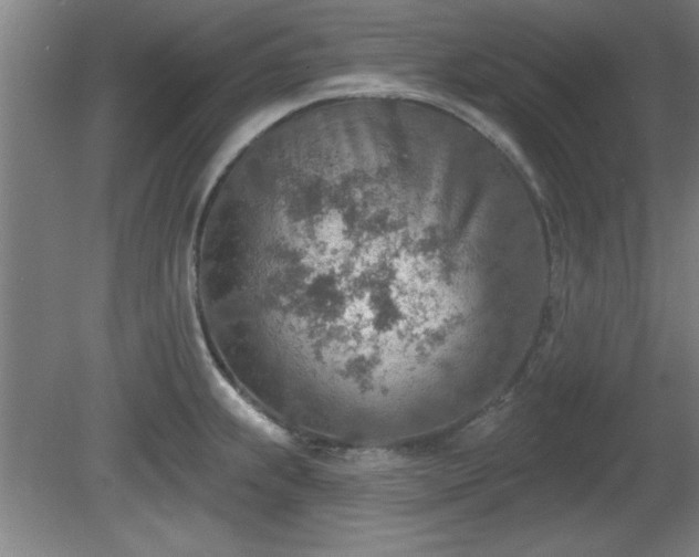 X0000080721239200612221219