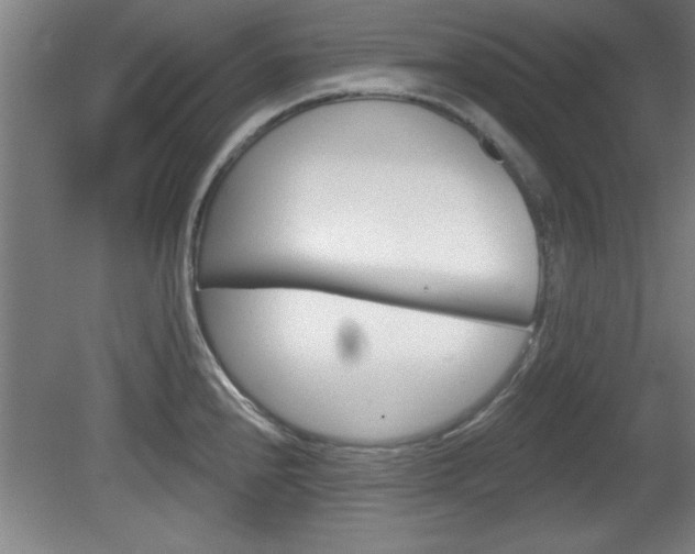 X0000080721240200612221219