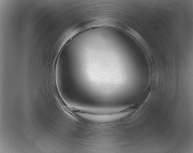 X0000080721242200612221219