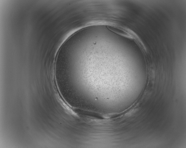 X0000080721244200612221219