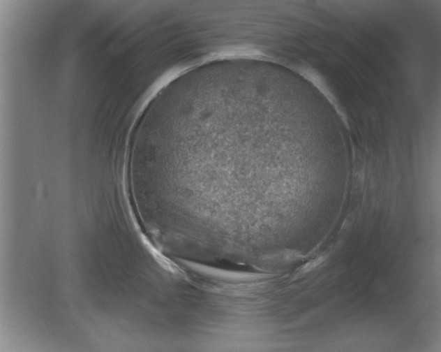 X0000080721245200612221219