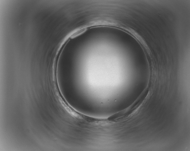 X0000080721246200612221219