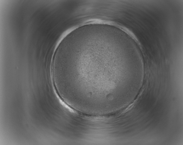 X0000080721247200612221219