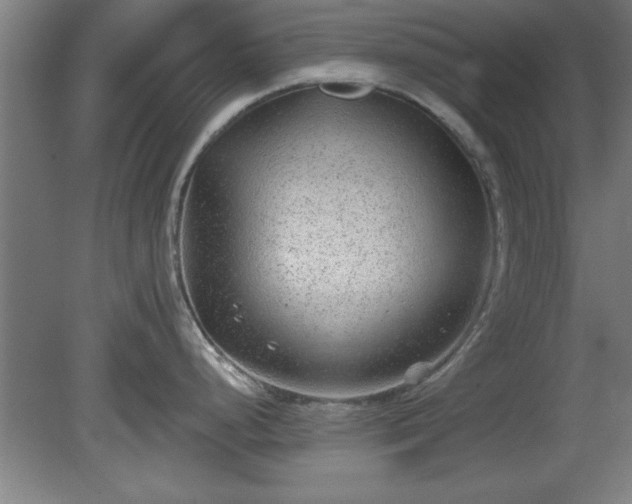 X0000080721248200612221219