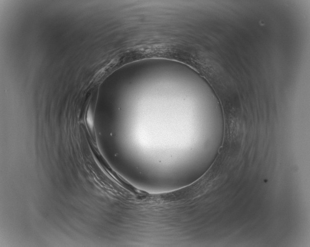 X0000080721250200612221218