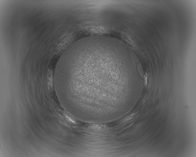 X0000080721251200612221218